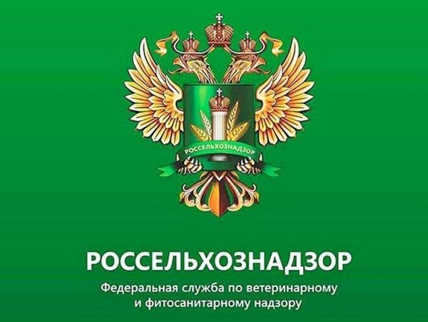 Рыба перемещалась со скоростью 3000 км в часМониторинговая группа Управления Россельхознадзора установила, что в адрес ИП Бивол А.В., зарегистрированного в д. Борилово Вологодского района Вологодской, из Мурманской области поступило 68 тонн мороженой трески. Анализ сведений из системы «Меркурий» показал, что партии рыбы преодолели расстояние в более чем тысячу километров за время, составившее не более 23 минут.